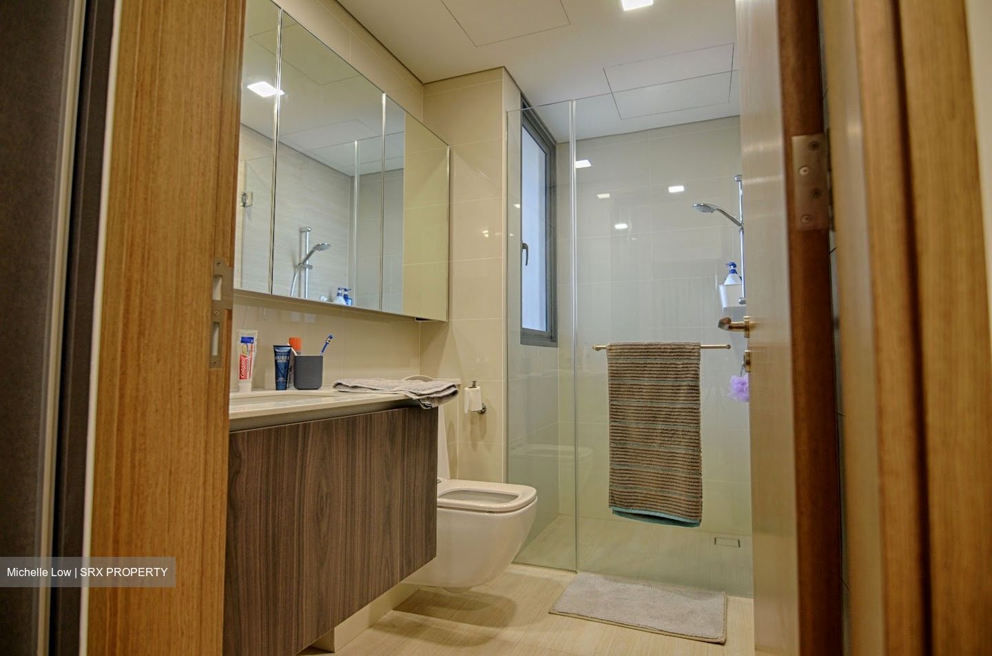 Lakeville (D22), Condominium #533624811